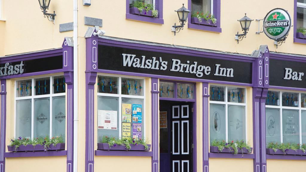 Walsh'S Bridge Inn Newport  Exterior photo